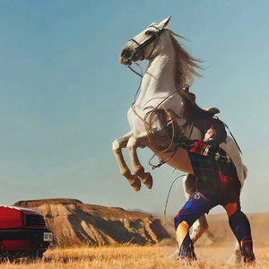 翁虹裸体一级A毛片区三区影视
